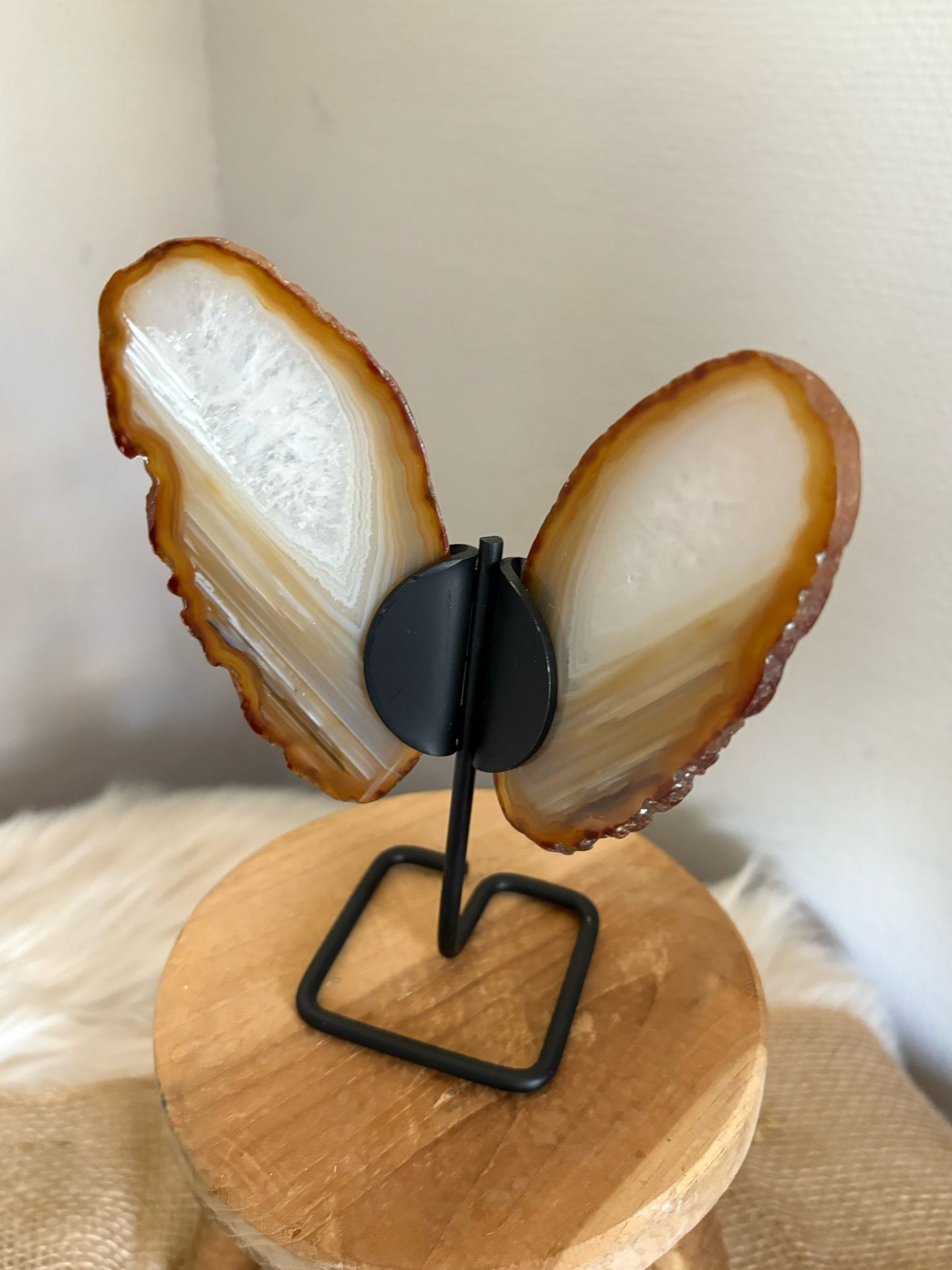 Agaat vlinder op voet