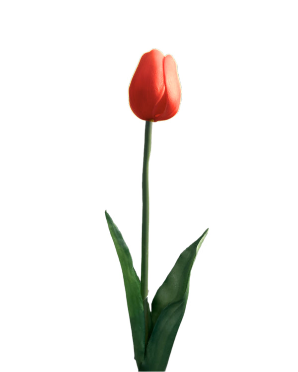 Tulp 'reel touch' oranje