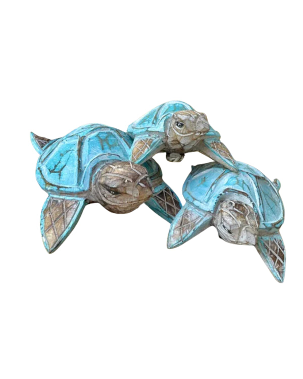 Schildpad (set van 3)