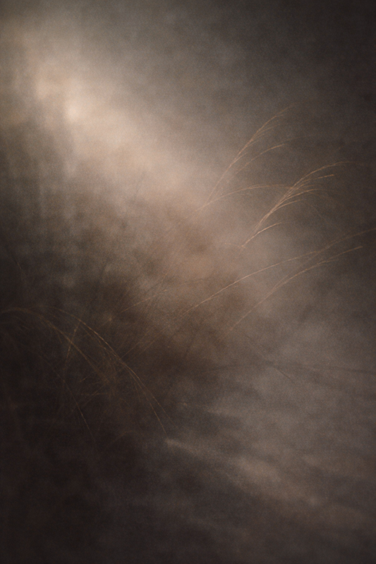 Tussen geven en verdwijnen