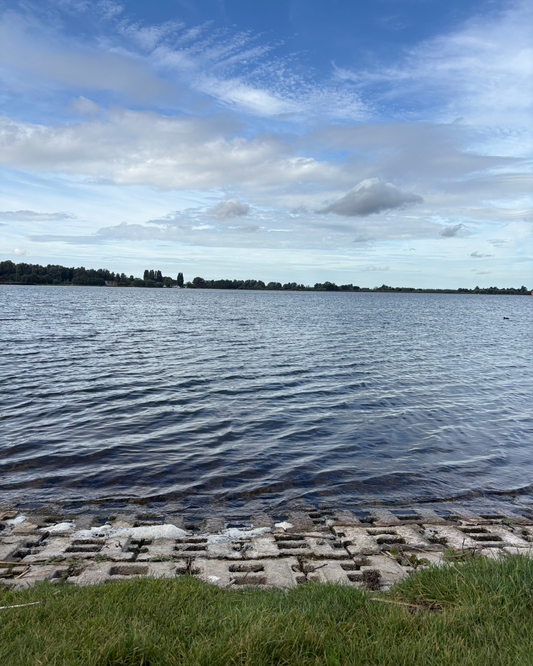 Tussen hoop en loslaten