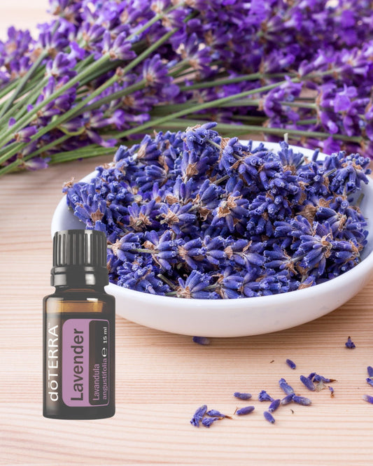 De kracht van dōTERRA lavendelolie: ontdek de verkwikkende en helende effecten