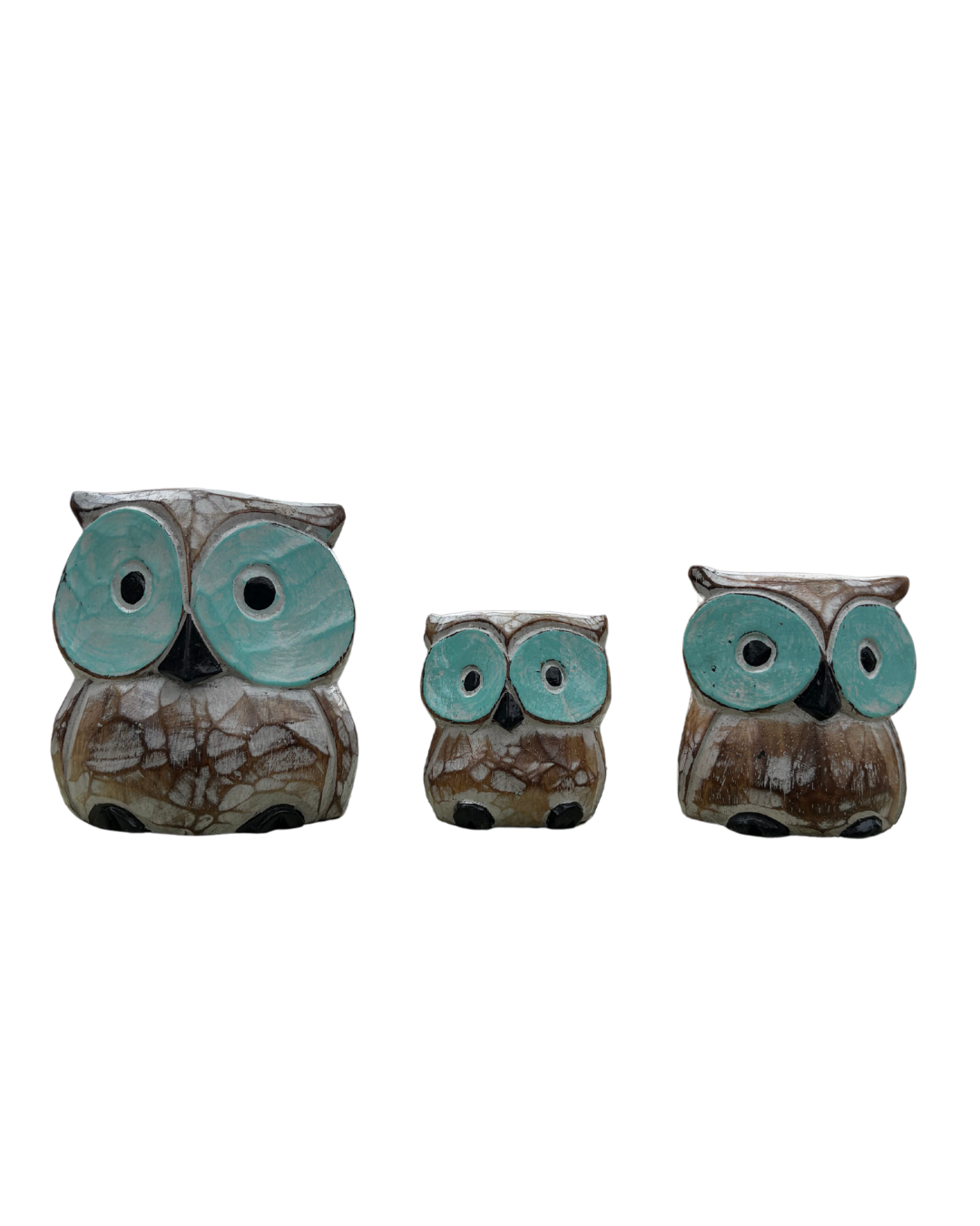 Uiltjes (set van 3)