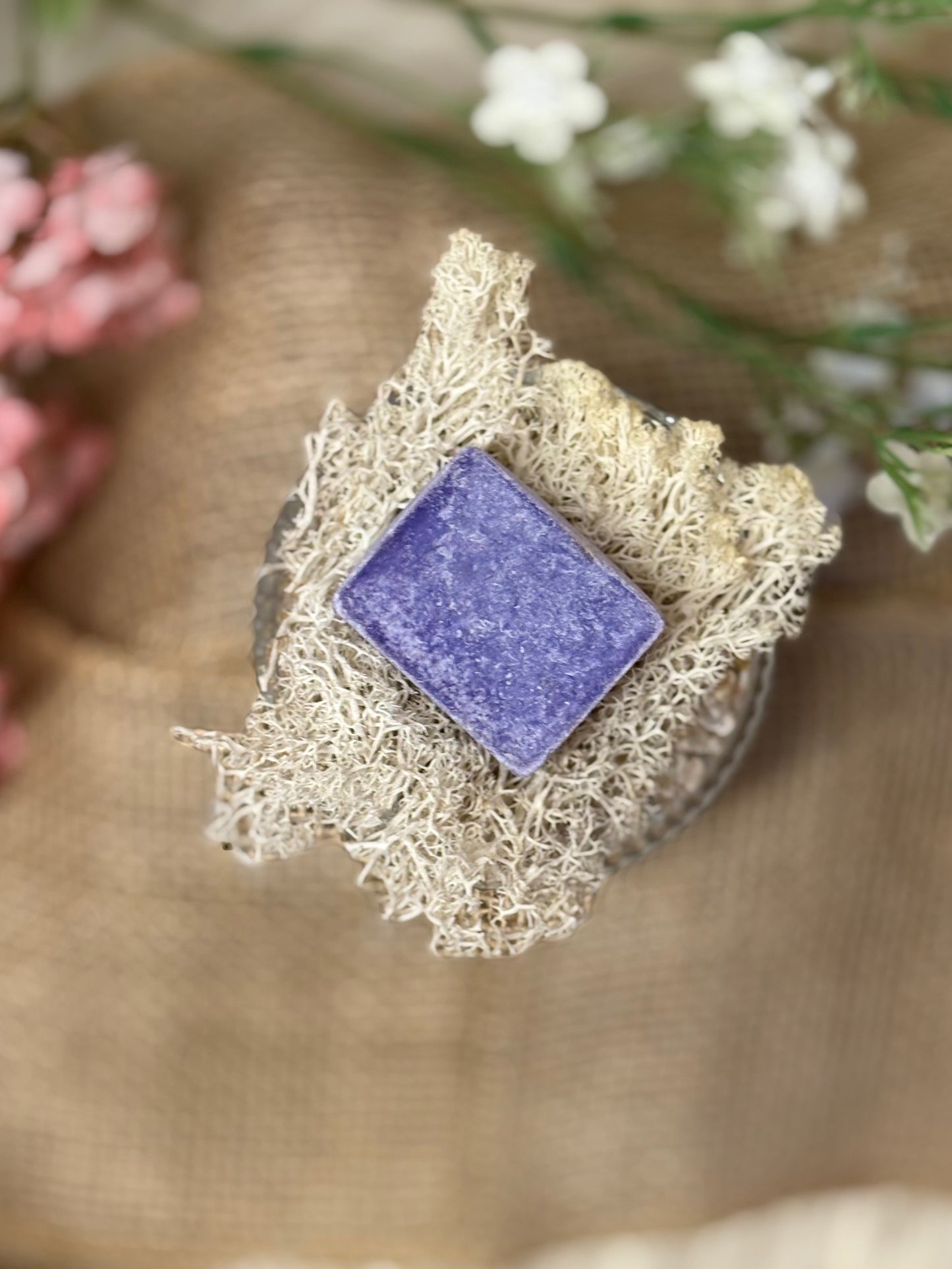 Cool Aqua Fragrance Block