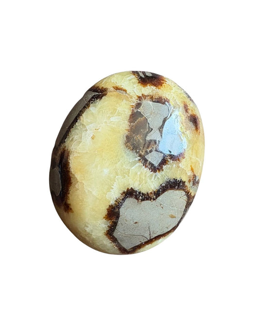 Septarie handsteen