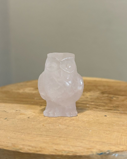 Rozenkwarts uil