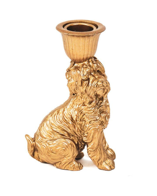 Kandelaar Labradoodle